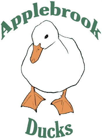Illustrated Duck Logo