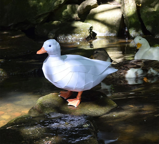Model Duck Paper Craft DIY Kit